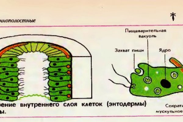 Адреса онион